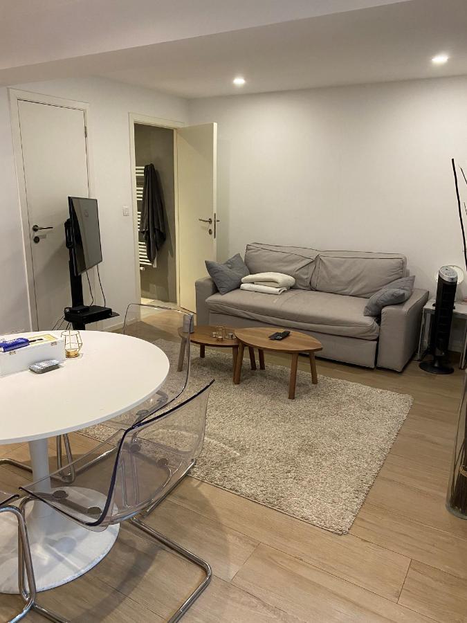 Amazing Flat In Front Of Bois De La Cambre Apartment บรัสเซลส์ ภายนอก รูปภาพ