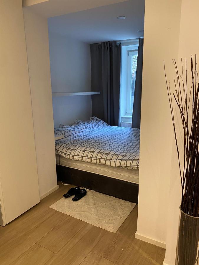 Amazing Flat In Front Of Bois De La Cambre Apartment บรัสเซลส์ ภายนอก รูปภาพ